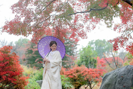新婦様のソロ