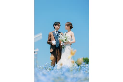 ネモフィラが彩る春の景色