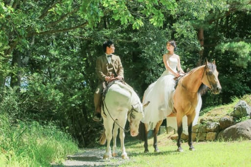 お馬さんと撮影