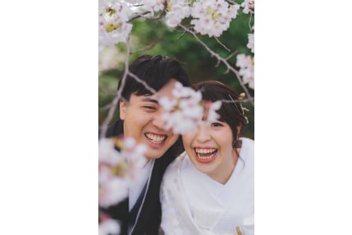 昭和記念公園桜3