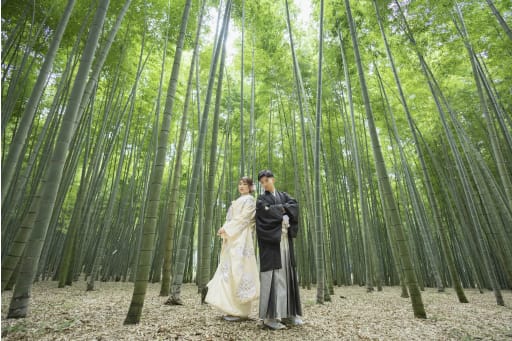 竹のダイナミックな背景で✨