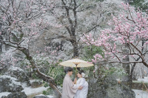 梅の花と雪