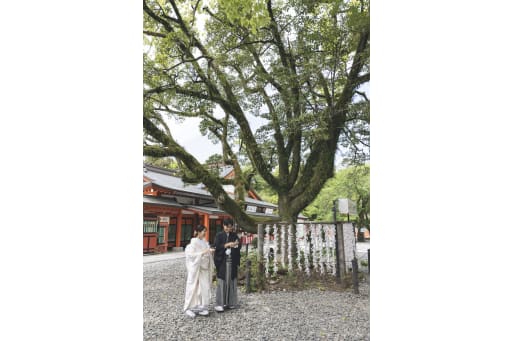 引きのショットも