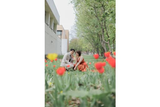 ここにはチューリップ