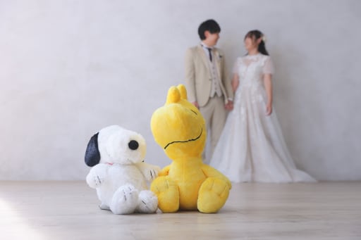愛用のぬいぐるみと
