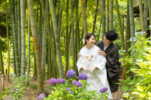 紫陽花