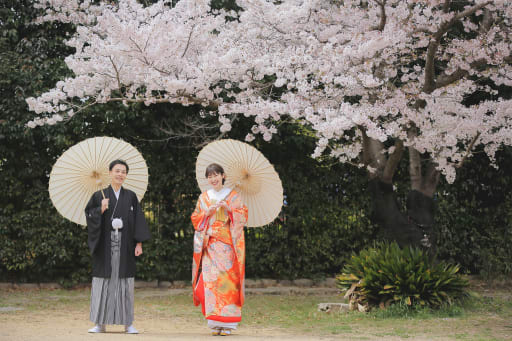 桜の木の下