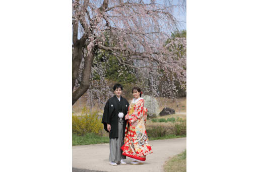 青空と枝垂れ桜の下で春を感じるお写真を撮影させていただきました！！