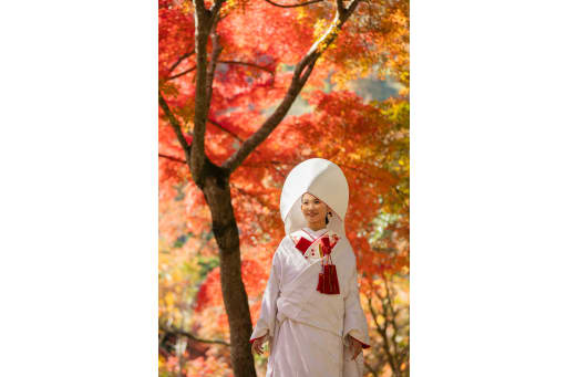 もちろん赤色の背景を前面に生かすことも