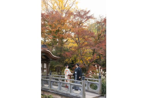 黄色と赤のコントラスト