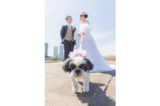 愛犬と一緒に