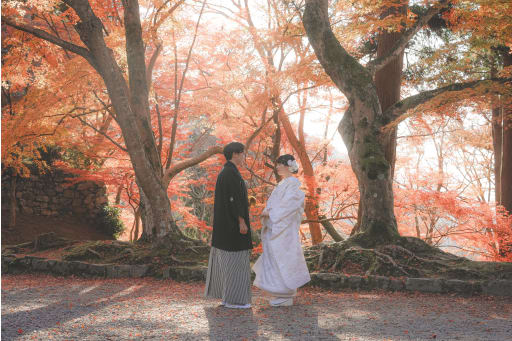 綺麗な紅葉背景に