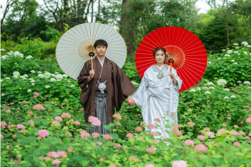 珍しい色味の紫陽花に囲まれて。