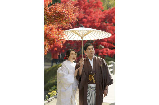 番傘を用いたアップ寄りの構図