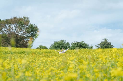 広いお写真も！