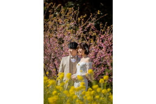 桜と菜の花
