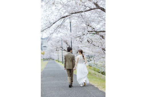 桜並木で
