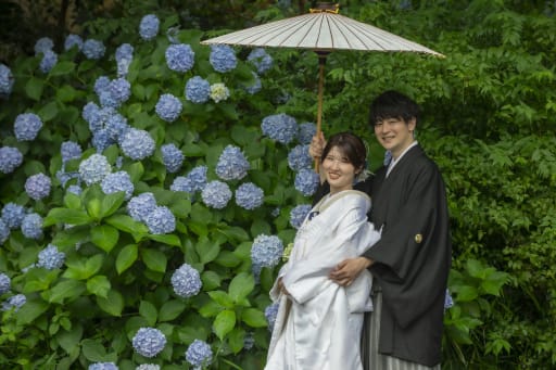 紫陽花と