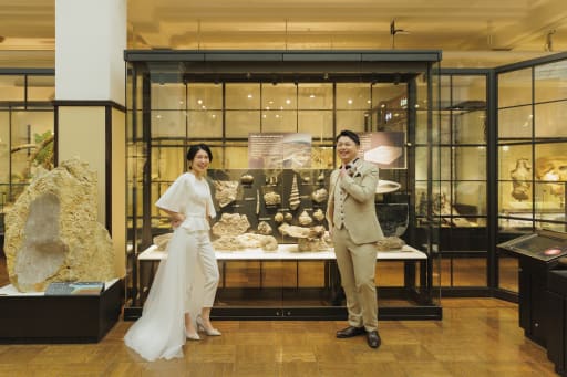 化石の展示