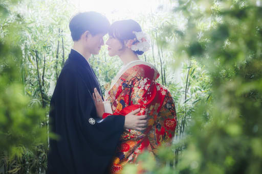 竹林×逆光