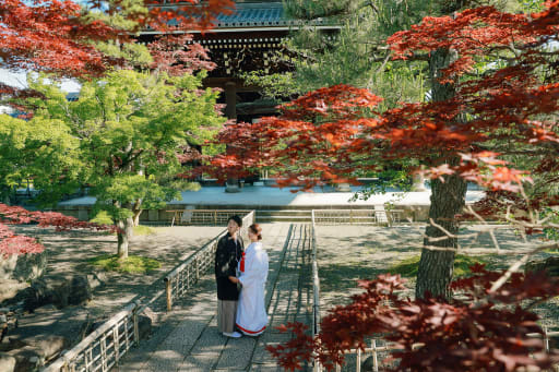 金戒光明寺の日本庭園では、赤紅葉と新緑紅葉が絶妙に混じり合い、荘厳でありながら繊細な美しさを放っています。