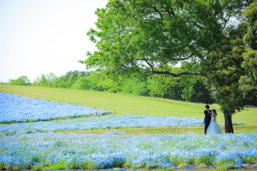 海ノ中道海浜公園