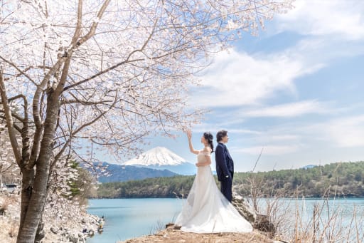 桜＋富士山