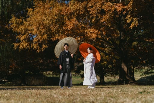 メタセコイヤ×和傘