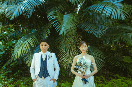 沖縄ならではな植物。