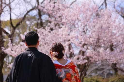 桜を見上げて