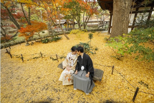 銀杏の絨毯