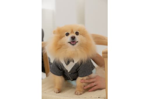 ぽっぽくんソロショット