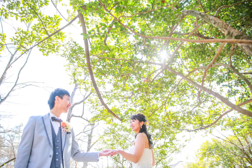   木漏れ日の中で…