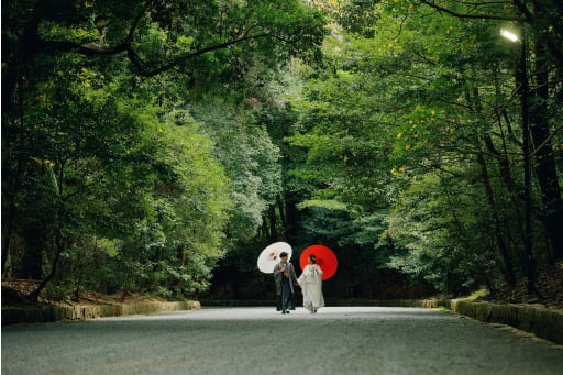 境内の綺麗な木漏れ日の中。