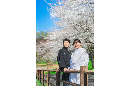 青空✖️桜