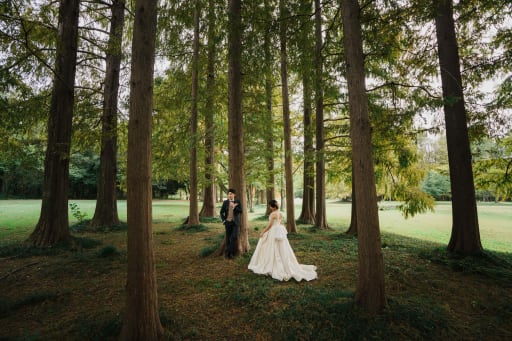 木々に囲まれて