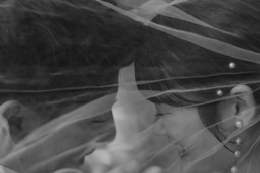 最後に、ぐっと近づいて撮影した一枚。