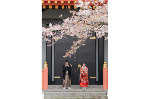 桜と高幡不動尊の立派な門