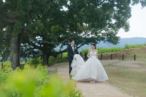 大きな木の下で