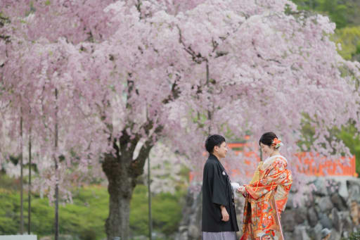 降り注ぐような桜をバックに