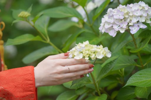 新婦様の