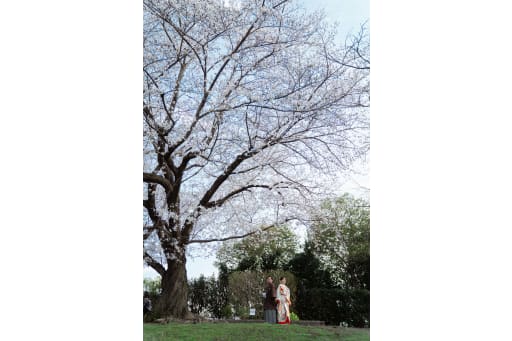 桜の木の下で