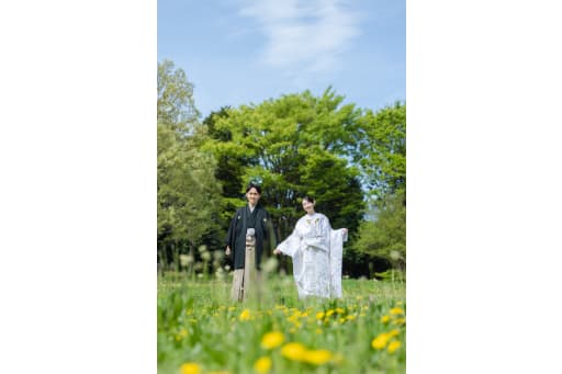たんぽぽも綺麗に咲いてます。