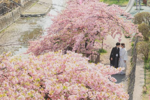 少し俯瞰視点からもパシャリ