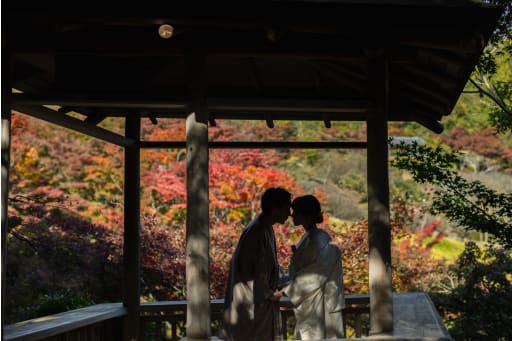 紅葉の木漏れ日