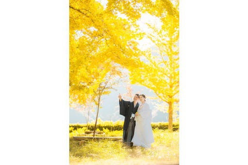 紅葉ロケーション