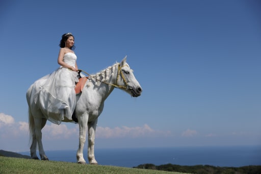 新婦様と白のお馬さんと！