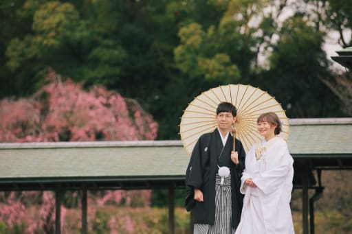 こちらからも桜が背景になります