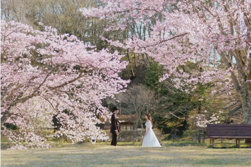 桜と 