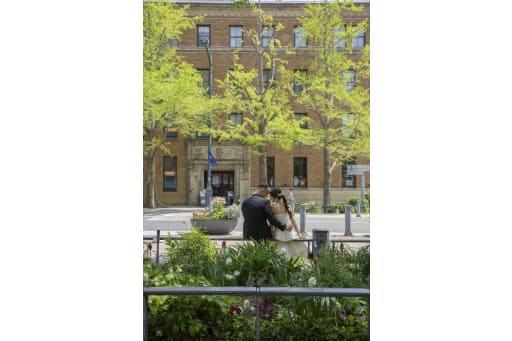 新緑が綺麗